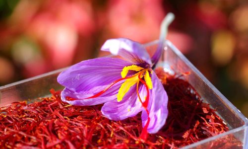 Kashmir_saffron_1688790113976_1688790114135